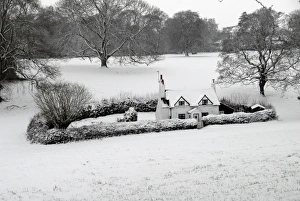 Cottages Prints: View of isolated cottage with hedged garden covered in snow