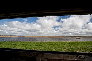 Environmental Prints: View of lagoon and reedbed habitat through hide window