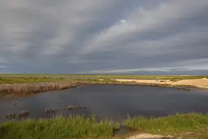 Iberia Prints: View of lagoon and wetland habitat