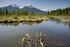 Rockies Prints: View of lake and distant mountains