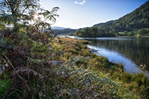 View of lake in evening sunlight, Rydal Water, Rothay Valley, Ambleside, Lake District N. P. Cumbria, England, August