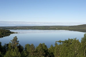 Lapland Prints: View across lake, Vilhelmina, Lappland, Sweden, June