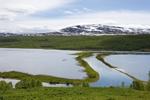 Lapland Prints: View of lakes, forest and mountain habitat, Klimpfjall, Lappland, Sweden, June