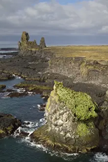 Gulls Prints: View of lava cliffs and coastline