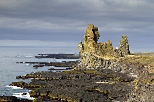 Cliff Prints: View of lava cliffs and coastline, near Hellnar, Snaefellsness Peninsula, Iceland, June