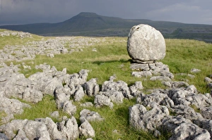 Stones Prints: View of limestone pavement and erratic rock