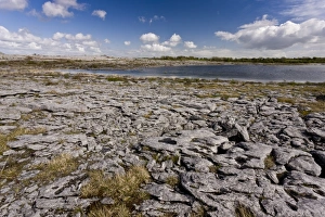 County Prints: View of limestone pavement around lough