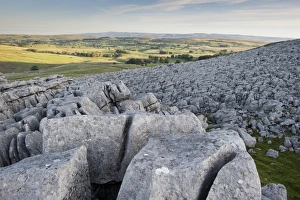 View of limestone pavement at sunrise, Fell End Clouds, looking towards Eden Valley, Cumbria, England, November