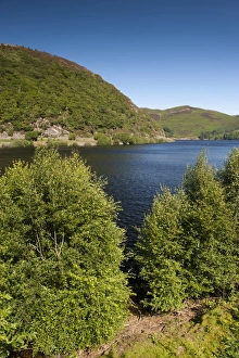 Supply Prints: View of manmade reservoir, Caban Coch Reservoir, Elan Valley, Powys, Wales, July