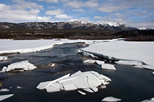 Melts Prints: View of melting ice on river during spring breakup