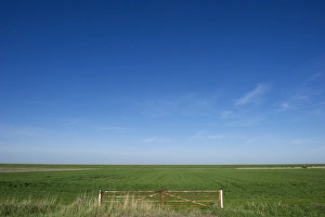 Northern Europe Prints: View of metal gate and coastal farmland, Jutland (Jylland), Denmark, may