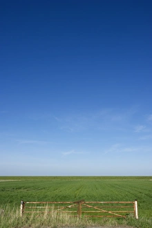 View of metal gate and coastal farmland, Jutland (Jylland), Denmark, may