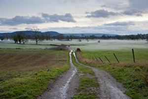 View of mist over farmland at dusk, Llanymynech, Shropshire, England, december