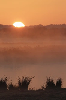 Environmental Prints: View of mist over water at sunrise, on site of former opencast coal mine, St