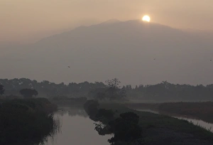Deep Bay Prints: View of misty marshland habitat at sunrise