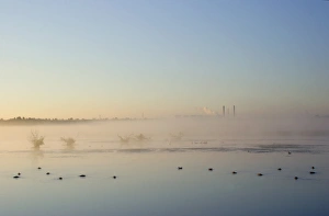 Mists Prints: View of misty pool with ducks and distant powerstation