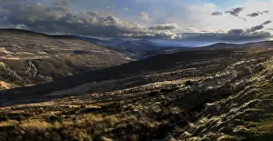 Warm Prints: View of moorland habitat, almost completely devoid of snow during unseasonably warm spring of 2011