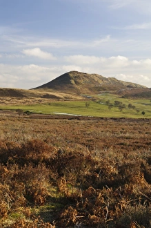 View of moorland habitat, Hawnby Hill, Hawnby, North York Moors N. P. North Yorkshire, England, February