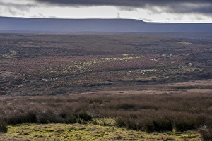 Derbyshire Prints: View of moorland habitat, Howden Moors, Peak District N. P. Derbyshire, England, December