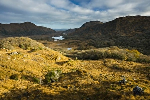: View over moorland towards lake and mountains