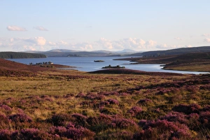 Reservoirs Prints: View of moorland and full reservoir, Llyn Brenig, Denbigh Moors, North Wales, august
