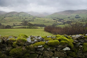 View over moss covered drystone wall towards fell with low clouds, looking towards Howgill Fells, Firbank, Cumbria