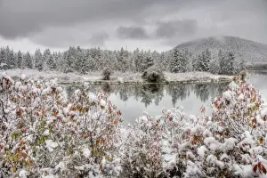 Colour Prints: View of mountain range and forested river valley with trees in autumn colour and snow