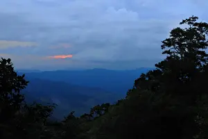 Equatorial Prints: View of mountain range with tropical montane forest habitat at sunset, Nyungwe Forest N. P