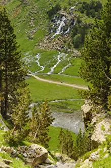 Pyrenean Prints: View of mountain valley habitat