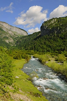 View of mountain valley river habitat, Ordesa y Monte Perdido N. P. Pyrenees, Aragon, Spain, june