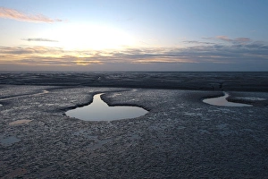 Wash Prints: View of mudflats at low tide, The Wash, Snettisham, Norfolk, England, november