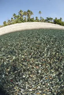 Stones Prints: View of multi-coloured pebbles in shallows near shore from above and below water