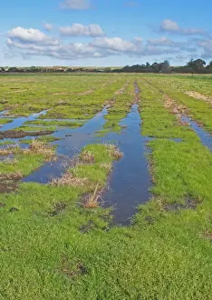 Flood Prints: View across newly created Higher Level Stewardship scheme land on former arable field