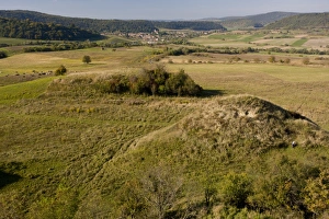 Rumania Prints: View of old pasture with tumps