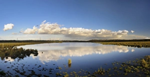 View of open water in wetland habitat, Fairburn Ings RSPB Reserve, West Yorkshire, England, November