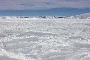 Antarctic Prints: View of pack ice and coastline, Weddell Sea, Antarctica, December