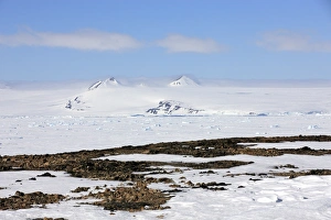 View of pack ice and snow covered mountains, Weddell Sea, Continent of Antarctica, Antarctica, December
