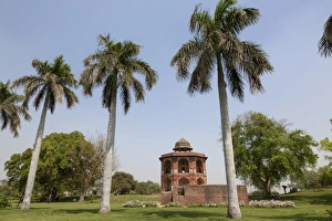 Subcontinent Prints: View of palm trees and red sandstone octagonal tower