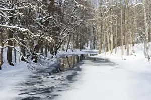 Wintery Prints: View of partially frozen river in snow covered forest habitat