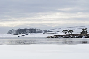 Freeze Prints: View of partially frozen and snow covered glacial lake