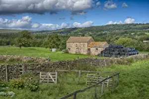 Stacks Prints: View of pasture, drystone walls