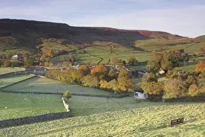 Wharfedale Prints: View of pasture with sheep, trees