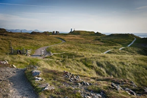 Pathway Prints: View of path and coastal habitat on tidal island