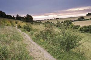 View of path through grassland habitat at dawn, Queendown Warren Nature Reserve, North Downs, Kent, England, july
