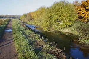 Wildlife Trust Prints: View of path beside river, with recreated meanders on former canalised section of river