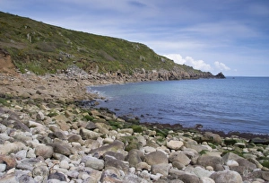 Pebbles Prints: View of pebble beach and coastline, Lamorna Cove, Cornwall, England, May