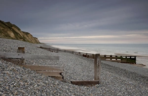 View of pebble beach, groynes and sea cliffs, Sheringham, Norfolk, England, august