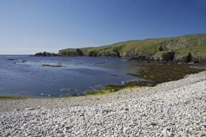 View of pebble beach and sea cliffs, Funzie Bay, Fetlar, Shetland Islands, Scotland