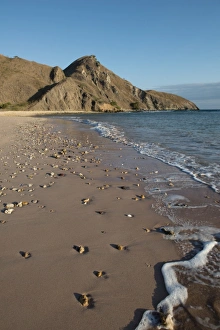 Komodo Prints: View of pink beach shoreline at sunset