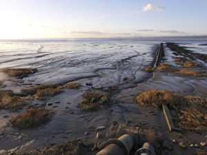 Gloucestershire Prints: View of pipe going into sea and mudflats at low tide